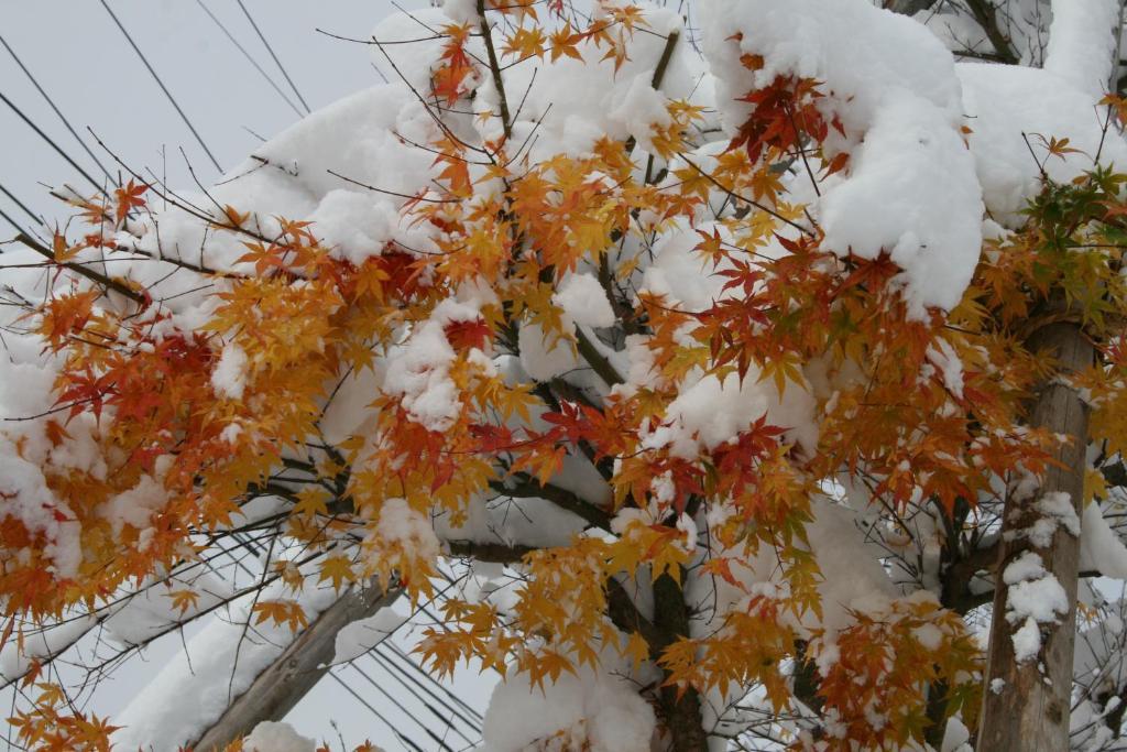 Akakura Wakui Hotel Myoko Εξωτερικό φωτογραφία